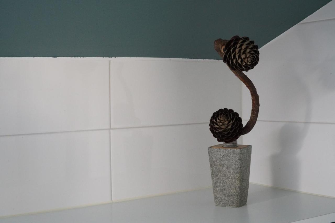 شقة اجوا  في Azores Protea House المظهر الخارجي الصورة