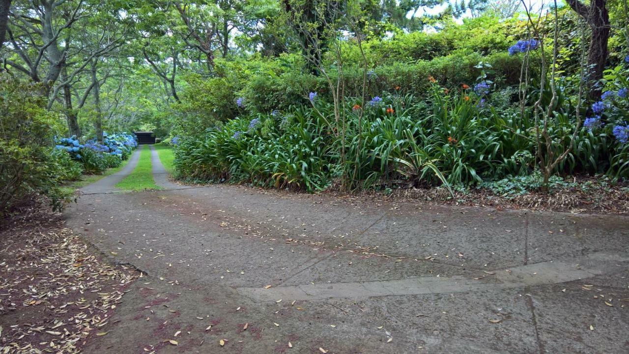 شقة اجوا  في Azores Protea House المظهر الخارجي الصورة